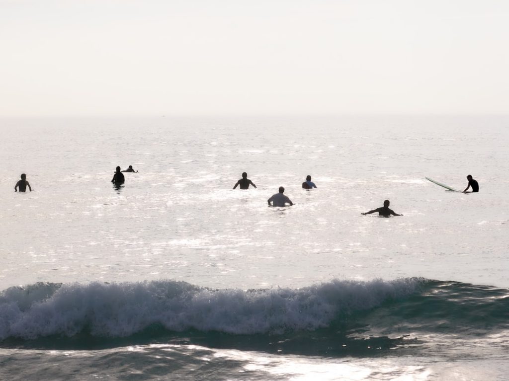 Surf community
