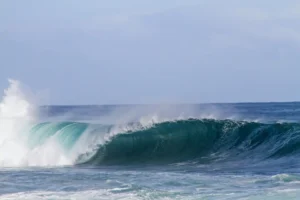 learn to how read waves before surfing